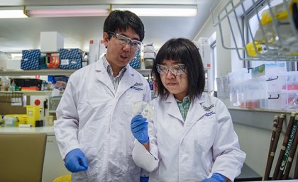 From left: Dr Jianhua Guo and PhD student Yue Wang in the lab